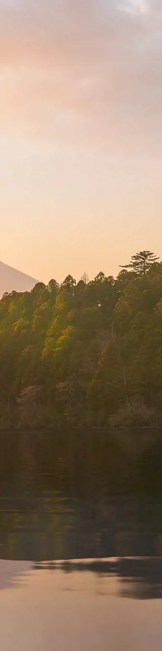 Berg Fuji